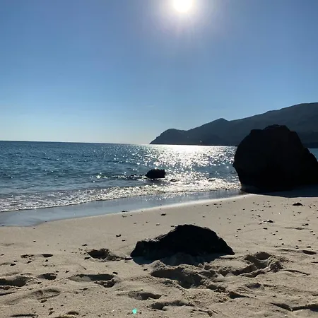 Barracuda Ocean View