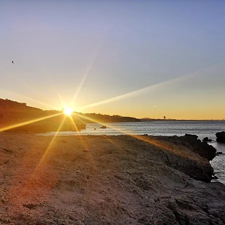 Barracuda Ocean View Διαμέρισμα *